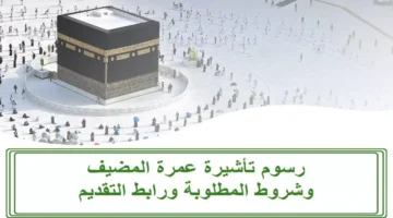 تغيير جديد توسع حرية التنقل بتأشيرة العمرة السعودية